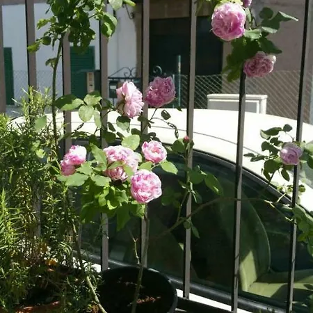 Homestay szállás La Stanza Di Centogatti *